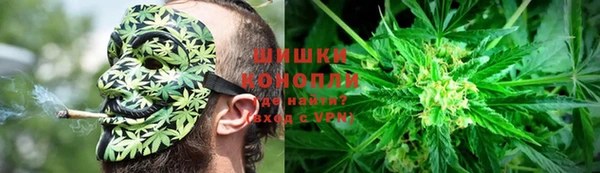 сатива Белокуриха